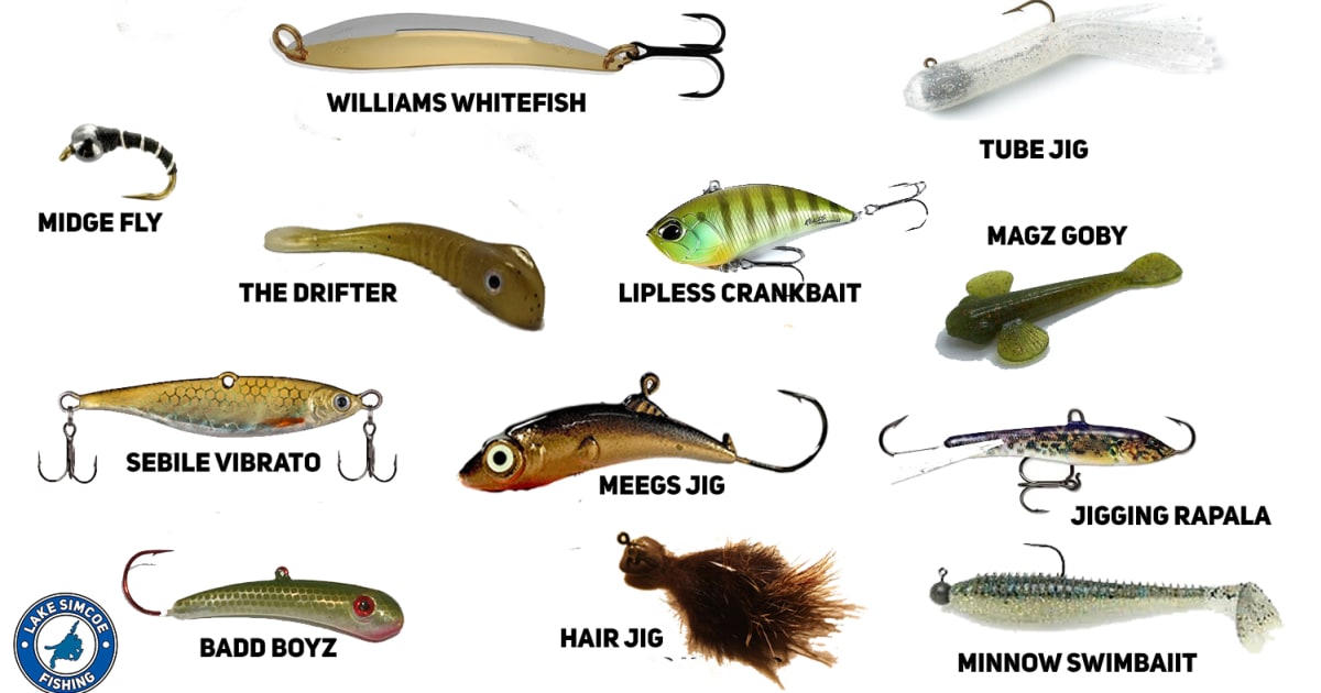 FAVORITE Whitefish and Lake Trout Bait for Lake Simcoe?